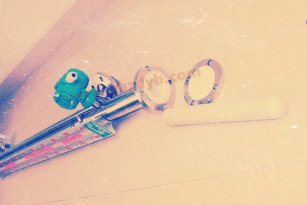 防腐液位計(jì)